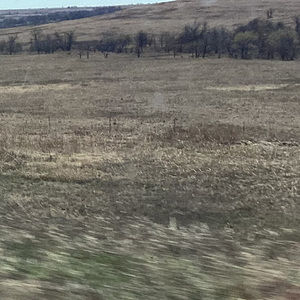 Meet your Posher, Jack